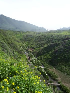 Долина калл