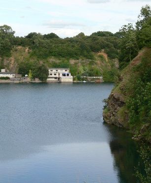 Бар «У Немо»