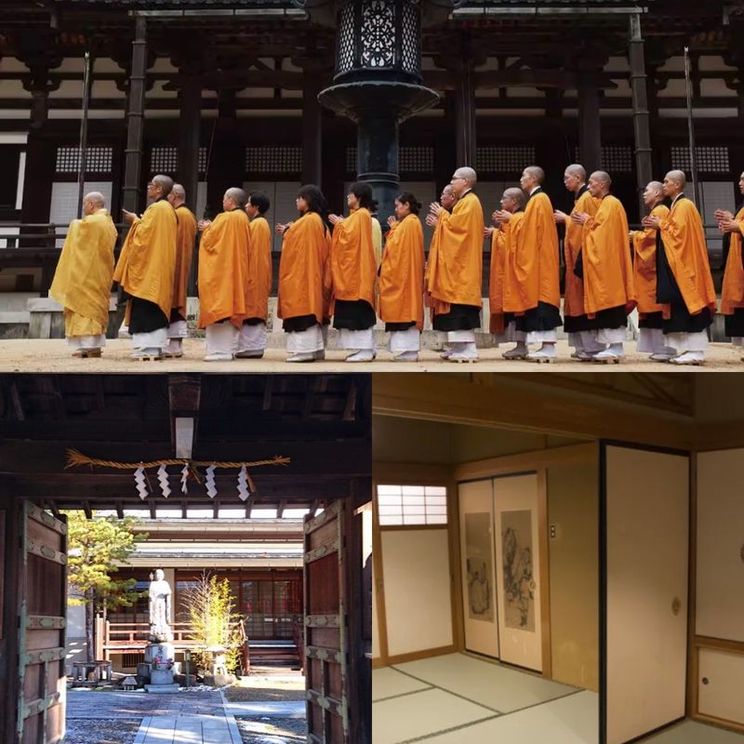 Отели 4*, Отели 5*, Коттеджи