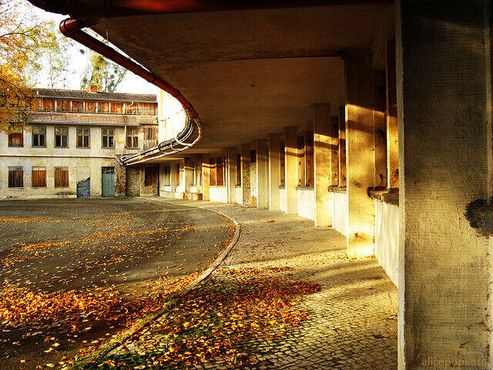 Олимпийская деревня берлин сколько стоит квартира в черногории в рублях