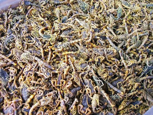 Мешок, полный мёртвых скорпионов, важного ингредиента традиционных китайских лекарств