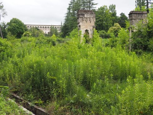 Старая, заросшая сорняками арка бывшего санатория на заднем плане