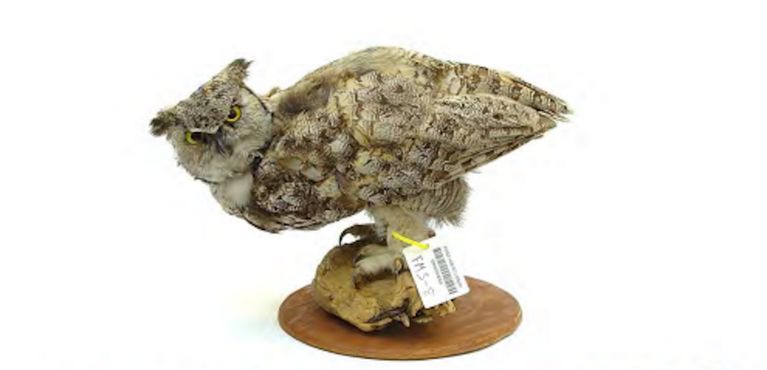 Библиотека ресурсов и информационных услуг Аляски