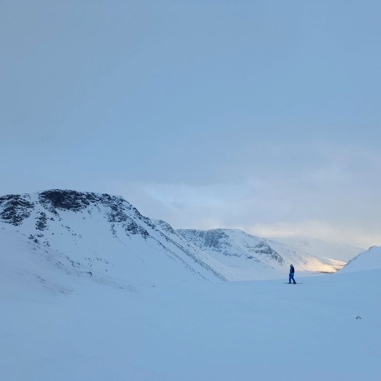 Гостевые домики