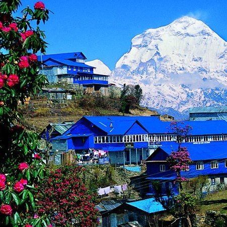 Гостевой дом, отель 3*