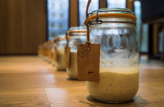 Библиотека заквасок