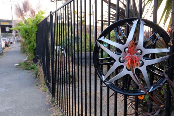 Общественный сад Большого Папочки